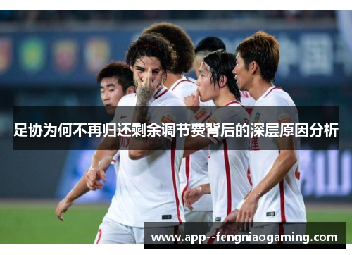足协为何不再归还剩余调节费背后的深层原因分析 足协为何不再归还剩余调节费背后的深层原因分析
