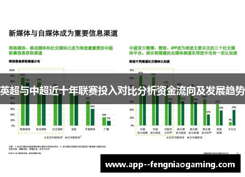英超与中超近十年联赛投入对比分析资金流向及发展趋势