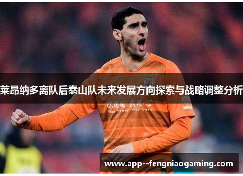 莱昂纳多离队后泰山队未来发展方向探索与战略调整分析 莱昂纳多离队后泰山队未来发展方向探索与战略调整分析