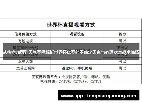 从伤病判罚到天气赛程解析世界杯比赛的不确定因素与心理状态战术临场 从伤病判罚到天气赛程解析世界杯比赛的不确定因素与心理状态战术临场