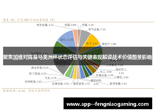 聚焦加维对阵皇马美洲杯状态评估与关键表现解读战术价值前景影响
