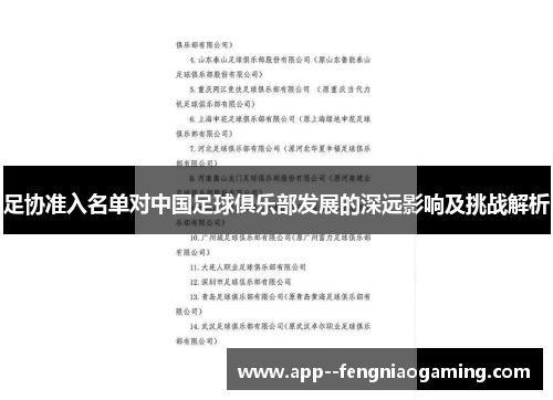 足协准入名单对中国足球俱乐部发展的深远影响及挑战解析