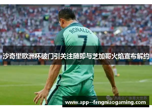 沙奇里欧洲杯破门引关注随即与芝加哥火焰宣布解约