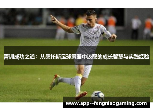青训成功之道：从桑托斯足球策略中汲取的成长智慧与实践经验