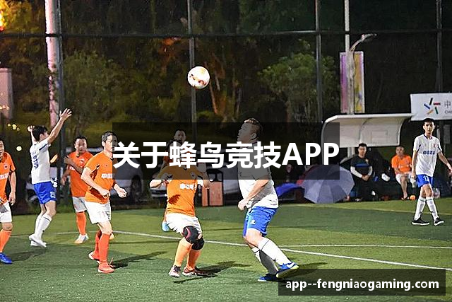 关于蜂鸟竞技APP